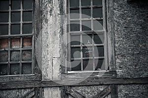 A beautiful dog sits outside the window in an abandoned building.