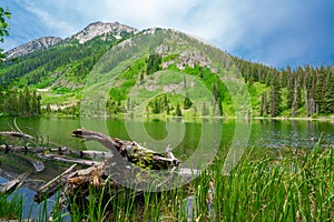 Beautiful Dollar Lake in Gunnison National Forest