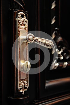 Beautiful door handle closeup