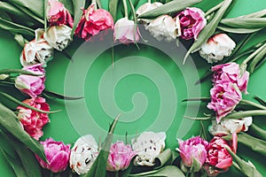 Beautiful double peony tulips frame flat lay on green paper, space for text. Happy mother`s day. International women`s day. Hell