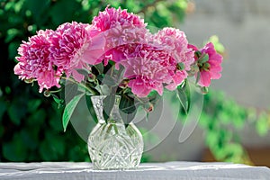 Beautiful double pink peony in glass transparent vase outdoor with beautiful background in a summer.