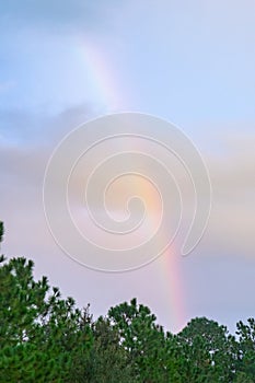 Beautiful double rainbow