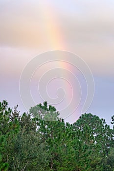 Beautiful double rainbow