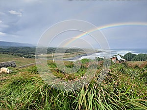 Beautiful double rainbow on the shore captured from the bushy hills