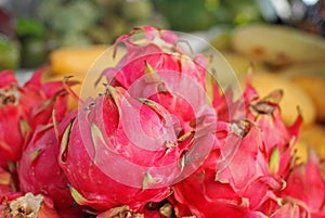 Beautiful dragon fruit of Asia