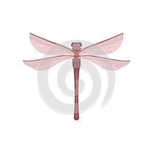 Beautiful dragonfly with red body and two pairs of large transparent wings. Fast-flying insect. Flat vector icon