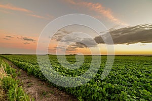 Beautiful dramatic cloudscape over a cultivated agricultural field in Uruguay, Juan Lacaze, Colonia photo