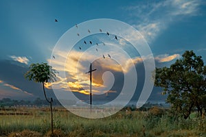 Beautiful dramatic sunset sunrise sky. Flying birds in sky.