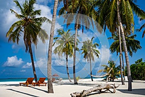 Beautiful dream beach with palmtrees, chairs and a hammock for tourism and vacation