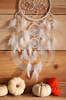 Beautiful dream catcher, white pumpkins and calyces of physalis near wooden wall