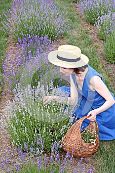 Beautiful dreaming girl among lavender flowers.