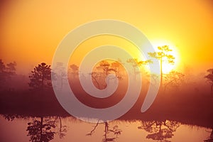 A beautiful, dreamy morning scenery of sun rising above a misty marsh. Colorful, artistic look.