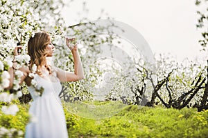 Beautiful dreamy woman in the blooming apple garden.