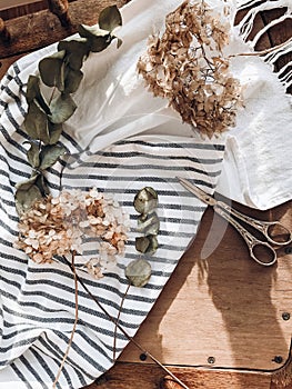 Beautiful dried hydrangea, eucalyptus, scissors and linen fabric on rustic wooden chair, rural still life flat lay. Phone photo