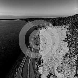 Beautiful drone areal photography view of large dune and pine forest near river Lielupe. Photo taken on sunset