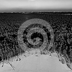 Beautiful drone areal photography view of large dune and pine forest near river Lielupe. Photo taken on sunset