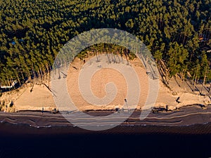 Beautiful drone areal photography view of large dune and pine forest near river Lielupe. Photo taken on sunset