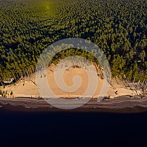 Beautiful drone areal photography view of large dune and pine forest near river Lielupe. Photo taken on sunset