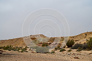 Beautiful dry landscape with colorful sand and cloudy skies in the Negev desert in Israel.