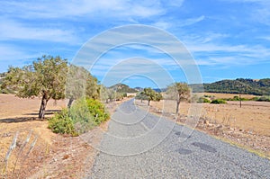Beautiful dry landscape along a road in Karpas Peninsula, Northern Cyprus