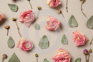 Beautiful dry roses on light background