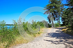 Beautiful dutch cycle and hiking trail, pine forest maas dunes landscape at blue lake in summer - Reindersmeer, Massduinen NP,