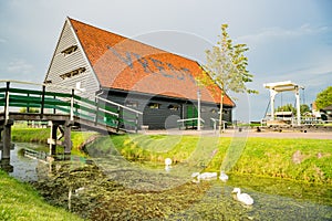 Beautiful dutch houses with duck at Zaandijk
