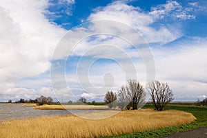 Beautiful dutch landscape