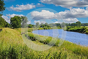 Beautiful dutch rural landscape, green meadow with sheep, natural course river Maas bend, blue summer sky fluffy clouds -