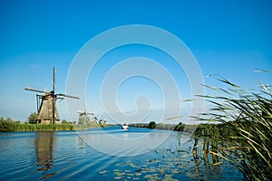 Beautiful dutch windmill lands