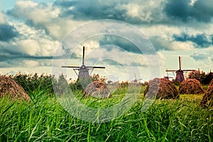 Beautiful Dutch windmills and landscape