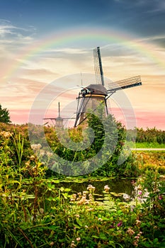 Beautiful Dutch windmills and landscape