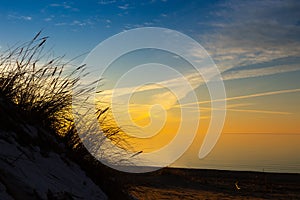 A beautiful early spring landscape of Baltic Sea beach with grass silhouettes against the colorful sky.