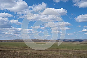 Beautiful early spring landscape with blue sky and white clouds. Pastures, rustic meadow spring landscape. world environment day