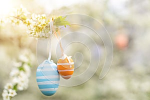 Beautiful Easter painted eggs in the branches of a blossoming apple tree