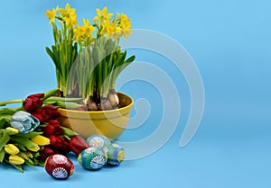 Beautiful easter still life with eggs and flowers isolated on a blue background stock images