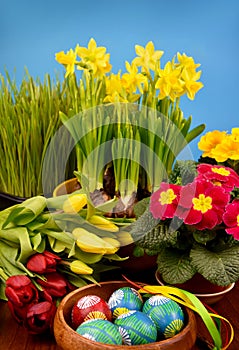 Beautiful easter still life with eggs and flowers stock images