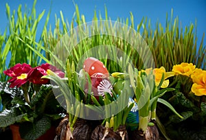 Beautiful easter still life with eggs and flowers stock images