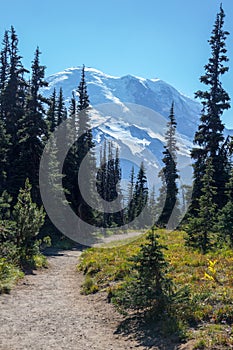 Beautiful, easy Burroughs Mountain hiking trail provides spectacular views photo