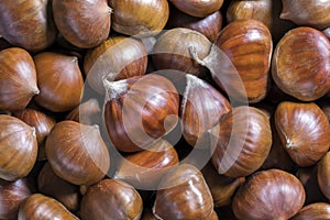 Beautiful Edible Chestnuts Background