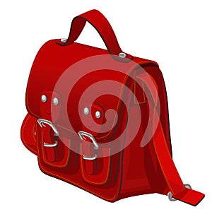 Beautiful elegant compact feminine handbag for youth