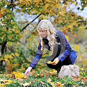 Beautiful elegant woman collects leaves in a park in autumn