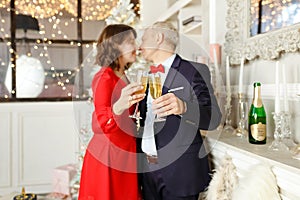 Beautiful elegant young people kisses, hug and holds glasses of champagne in their hands against the background of New Year`s