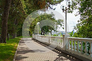 Beautiful embankment of Gelendzhik resort. Walking path along the Black Sea with white railings and  lush pines. Pitsunda pine