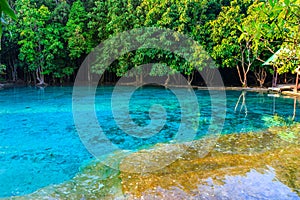 Beautiful Emerald pool in deep Forest at Krabi THAILAND