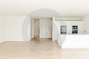 Beautiful empty apartment, modern kitchen