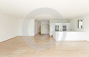 Beautiful empty apartment, modern kitchen