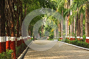 Beautiful empty pathway at botanical garden. empty foot way at park