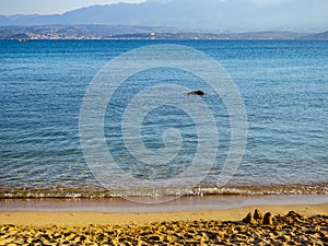 Beautiful empty sandy beach - small sand castles