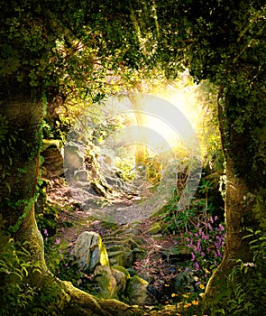 Beautiful enchanting forest opening path leading to a bright light photo